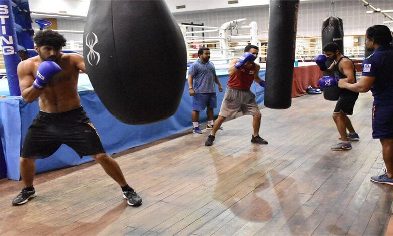 Indian-Boxer-Amravati-Mnedal