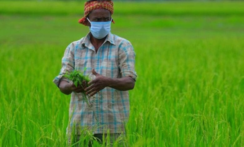Kisan-Amravati-Mandal