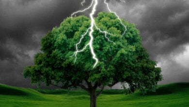 Lightning-Amravati-Mandal