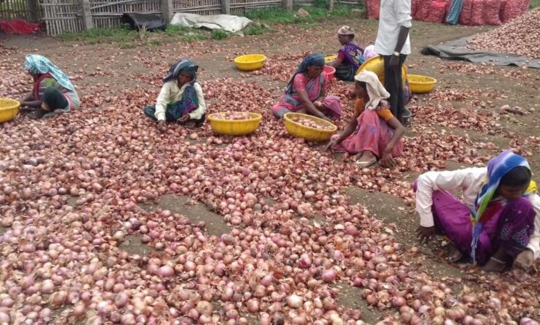 Onion-Amravati-Mandal