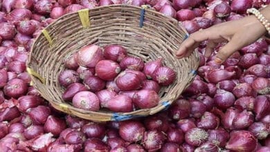 Onion-Amravati-Mandal