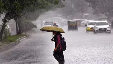 Rain-Amravati-Mandal