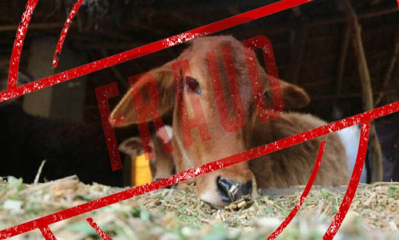 cow-fraud-amravati-mandal