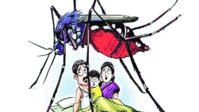 Dengue-amravati-mandal