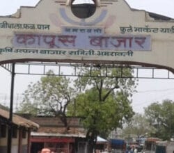 Cotton-Market-amravati-mandal