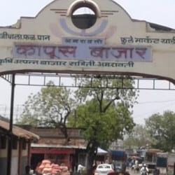Cotton-Market-amravati-mandal