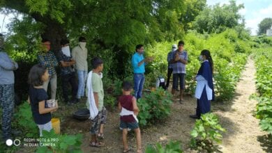 app-amravati-mandal