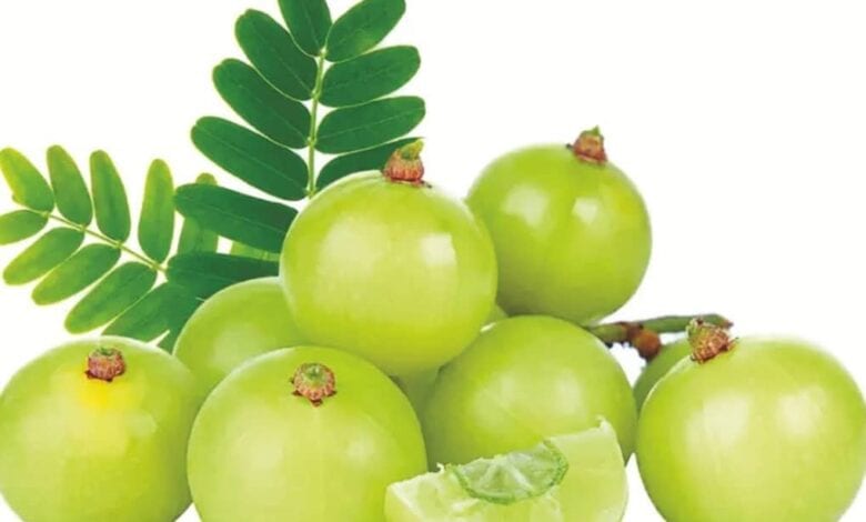 Amla-amravati-mandal