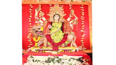 durga-devi-amravati-mandal