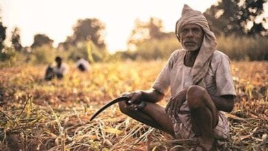 farmer-Amravati-Mandal