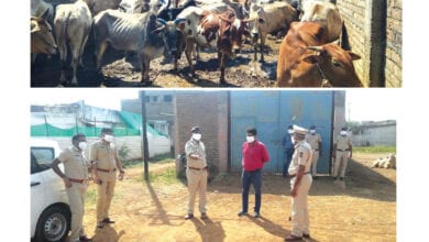 godam-amravati-mandal