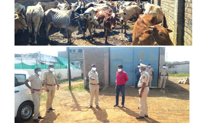 godam-amravati-mandal
