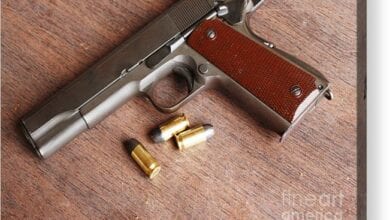 Pistol-live-cartridge-amravati-mandal
