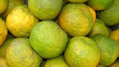Oranges-amravati-mandal