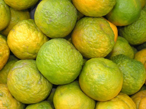 Oranges-amravati-mandal