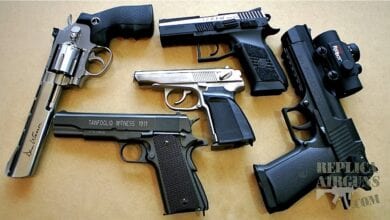 Pistol-amravati-mandal