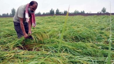 Farmer-amravati-mandal