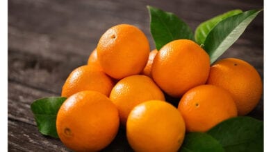 orange-amravati-mandal