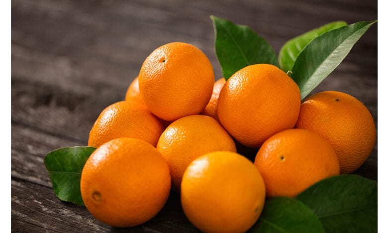 orange-amravati-mandal