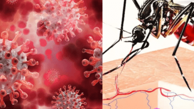 Dengue-with-Corona-amravati-mandal
