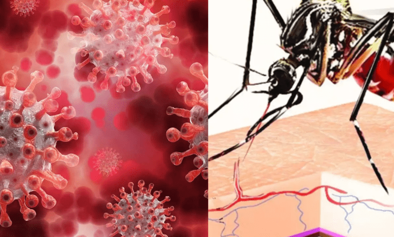 Dengue-with-Corona-amravati-mandal
