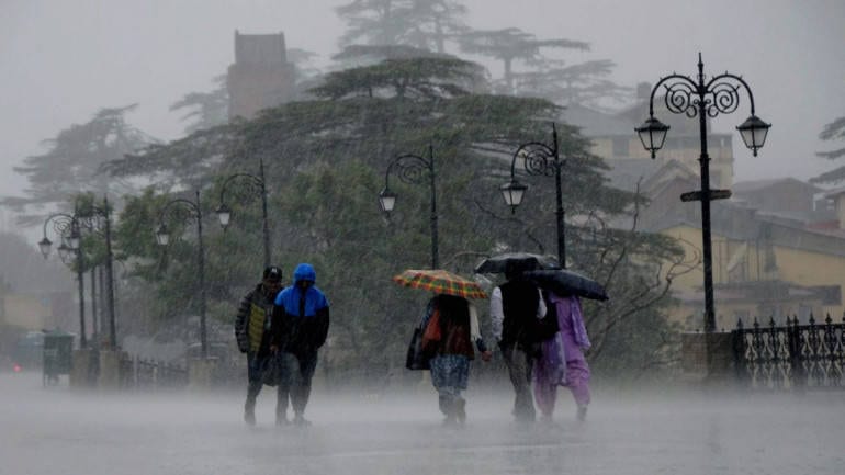 rainfall-in-August-Amravati-Mandal