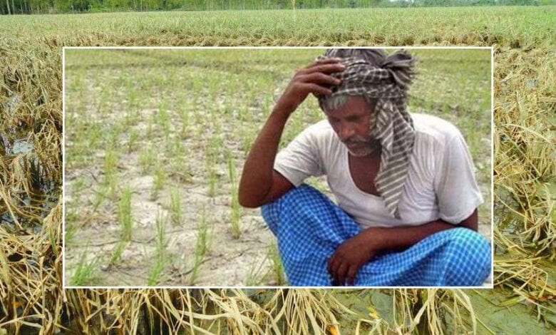 farmer-amravati-mandal