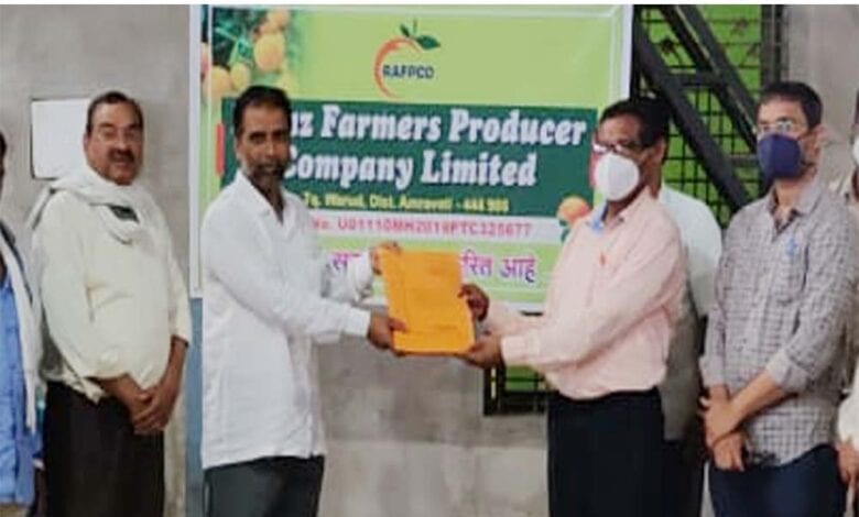santra-seeds-amravati-mandal