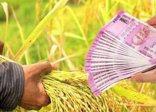 Farmers-loans-amravati-mandal