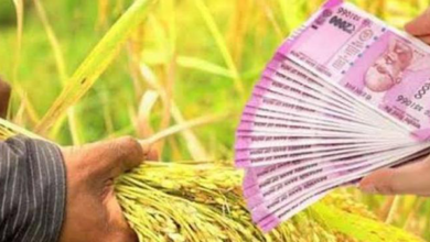 Farmers-loans-amravati-mandal