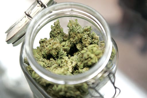 Cannabis-amravati-mandal
