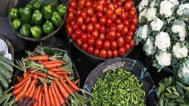 whole-sale-vegetables-amravati-mandal