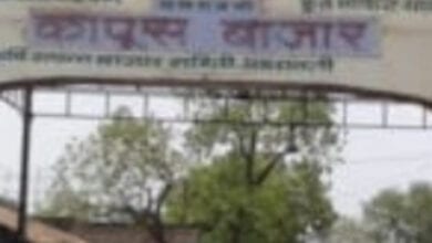 Cotton-Market-amravati-mandal