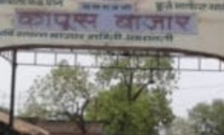 Cotton-Market-amravati-mandal