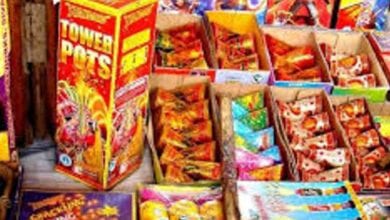 Cracker-sale-amravati-mandal