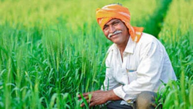 Farmer-amravati-mandal