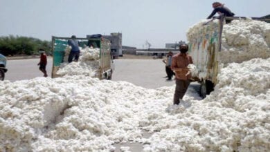 Cotton-Amravati-Mandal