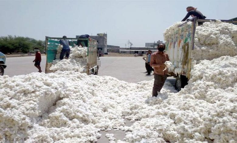 Cotton-Amravati-Mandal
