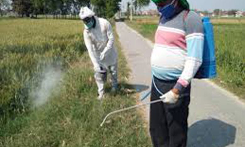 Dengue-Spray-Amravati-Mandal
