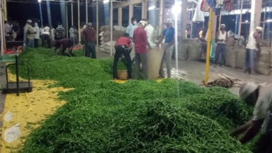 Mirchi-Market-Amravati-Mandal