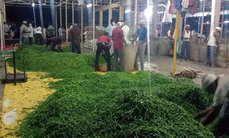 Mirchi-Market-Amravati-Mandal