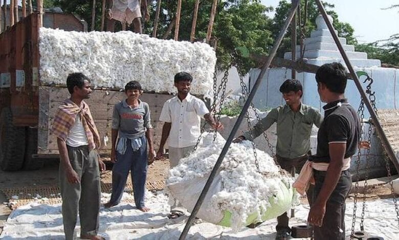 cotton-purchase-amravati-mandal