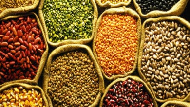 dal-amravati-mandal