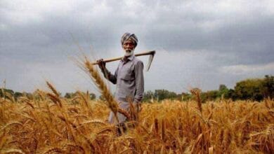 farmer-amravati-mandal
