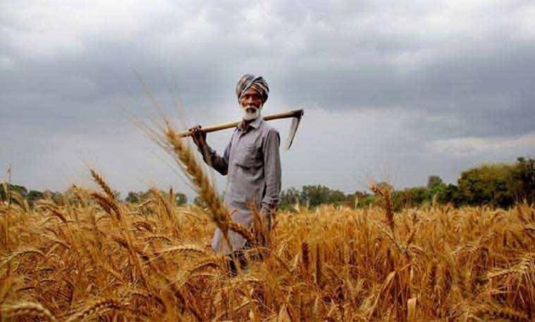 farmer-amravati-mandal