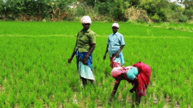 farmers-amravati-mandal