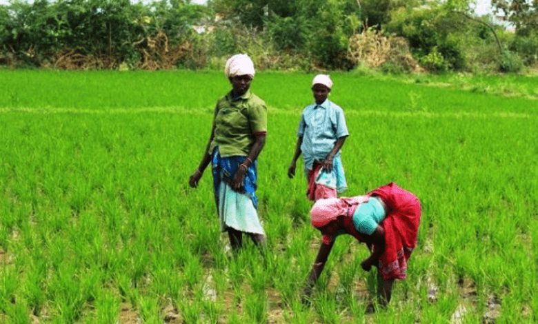 farmers-amravati-mandal