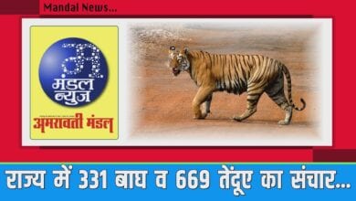 Video-Amravati-Mandal