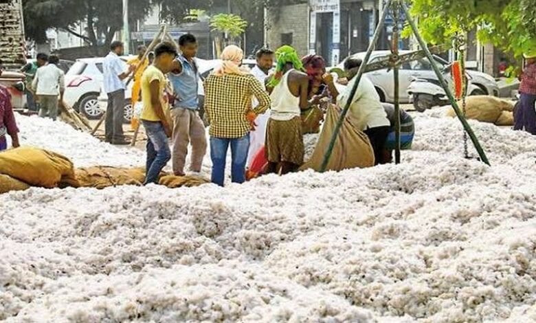 Cotton-Purchased-amravati-mandal