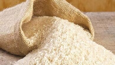 Rice-Smuggling-amravati-mandal